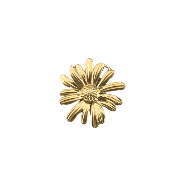 Grande Marguerite