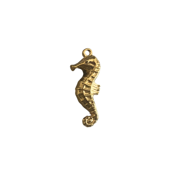 Hippocampe